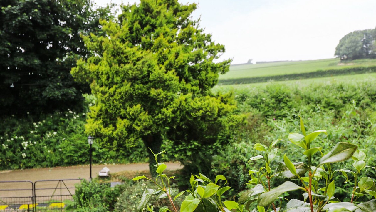 Photo of Outdoor in Liskeard