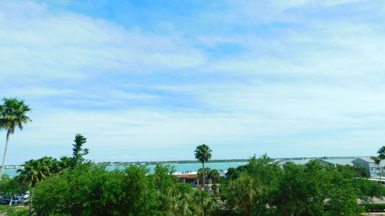 Photo of Others in Sand Key