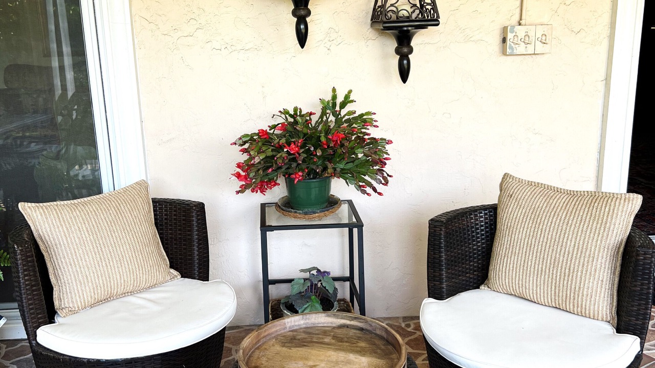 Photo of Outdoor in Cambrian Community