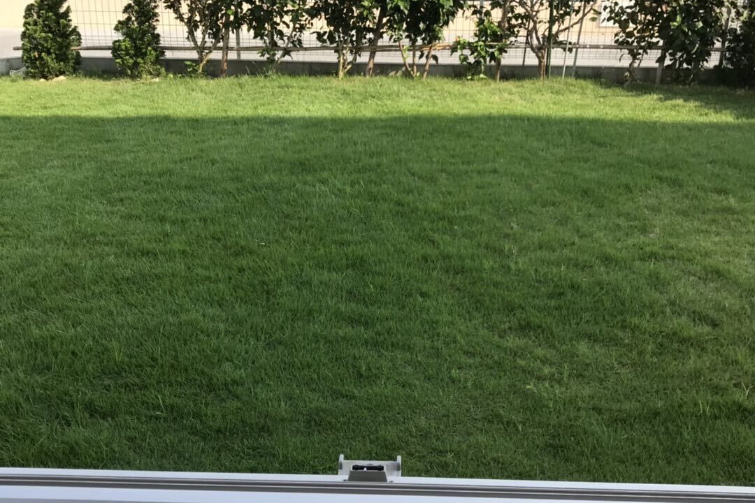 Photo of Outdoor in Okinawa