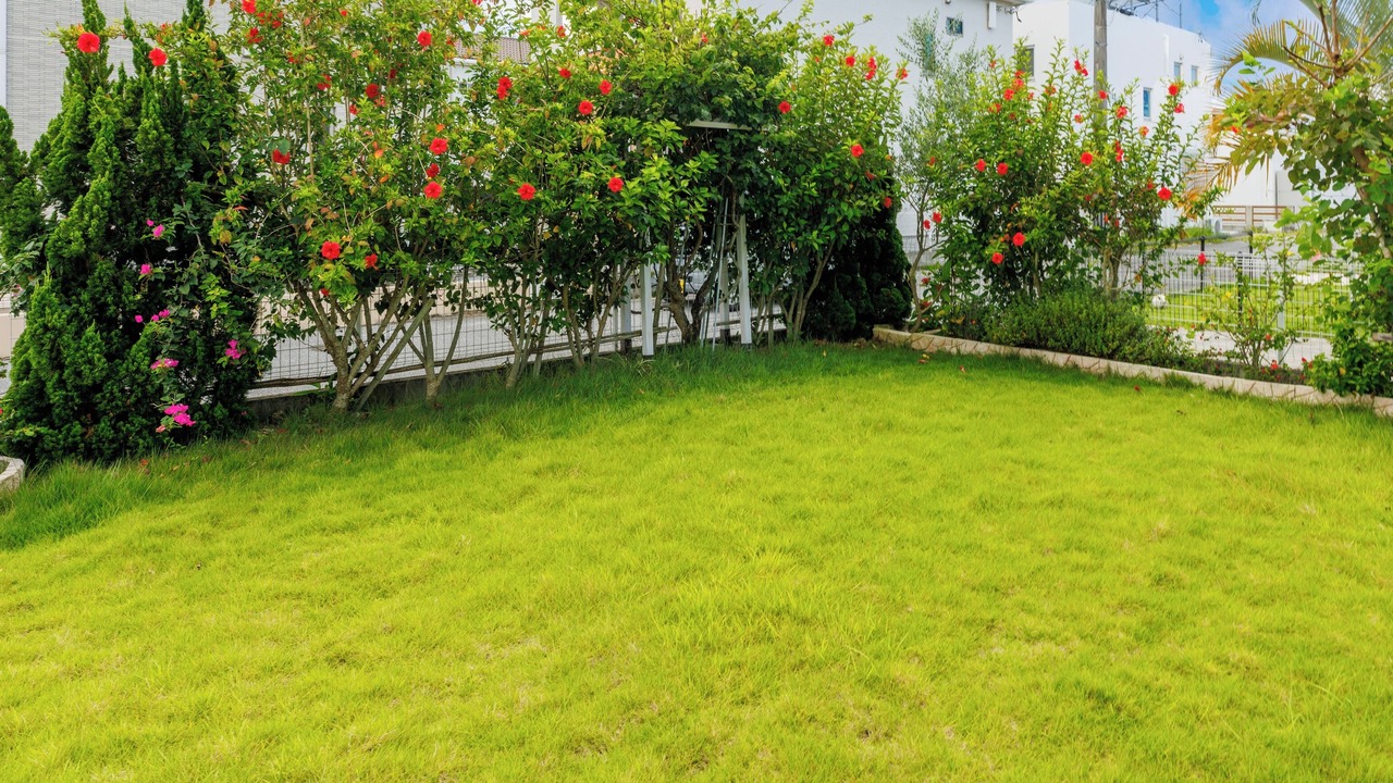Photo of Outdoor in Okinawa