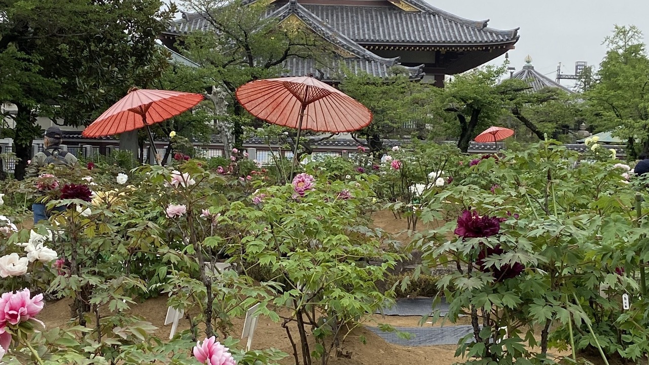 Photo of Outdoor in Adachi