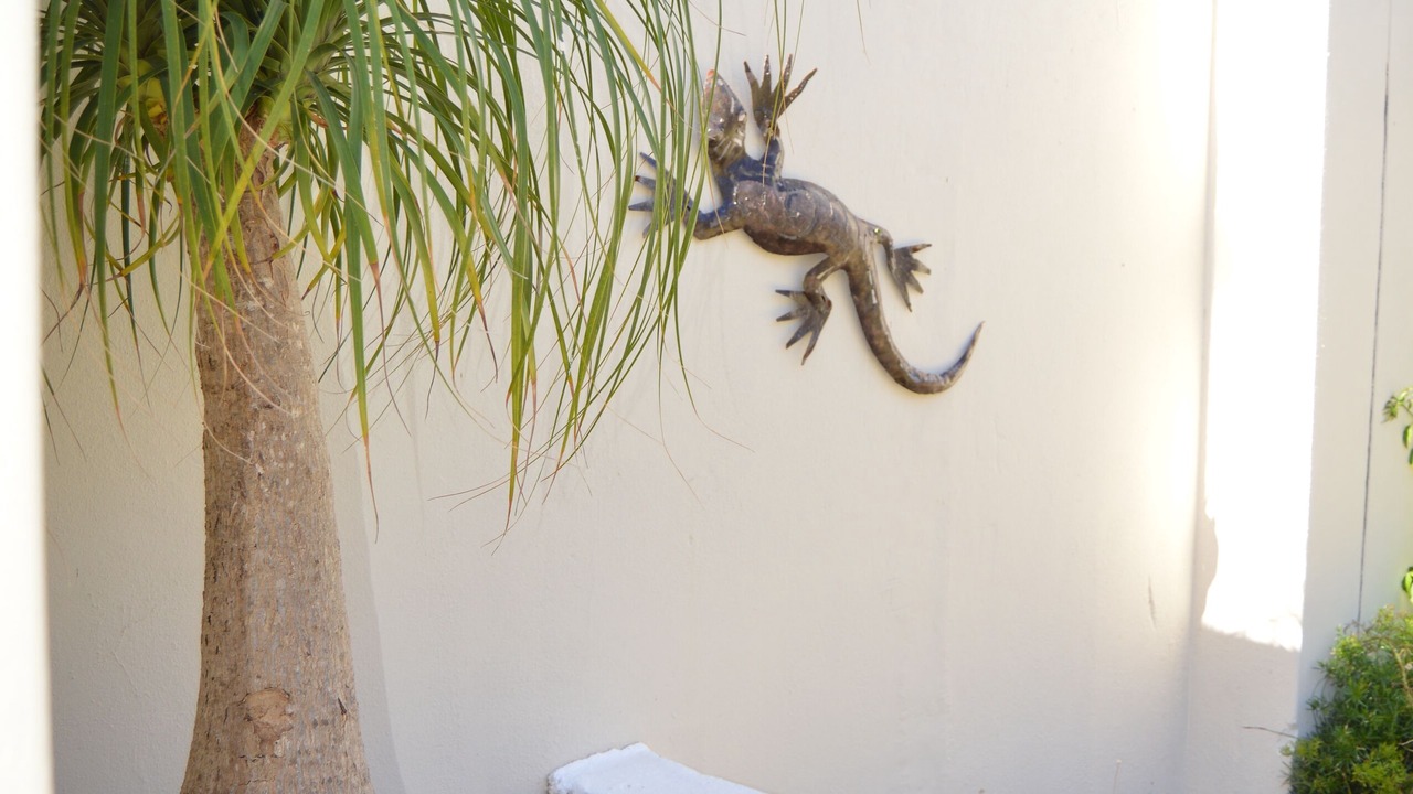 Photo of Outdoor in Durbanville
