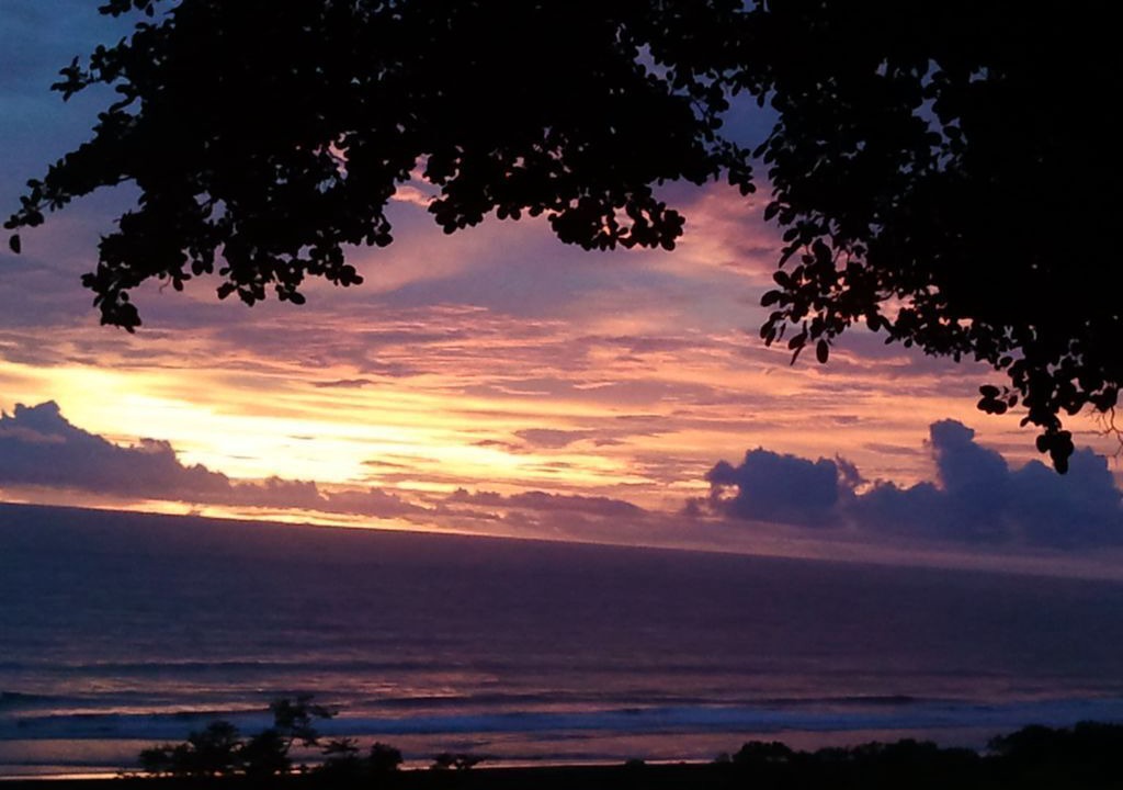 Photo of Others in Nosara