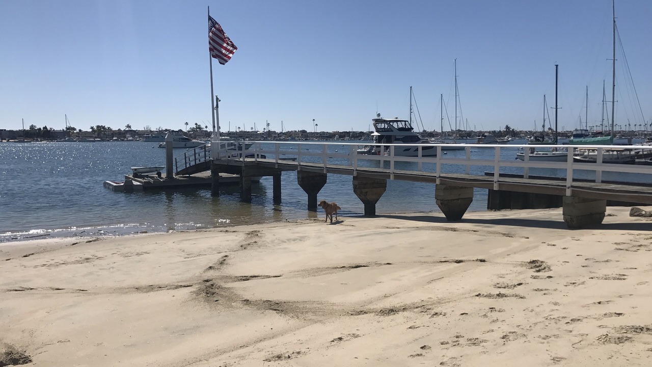 Photo of Others in Balboa Island