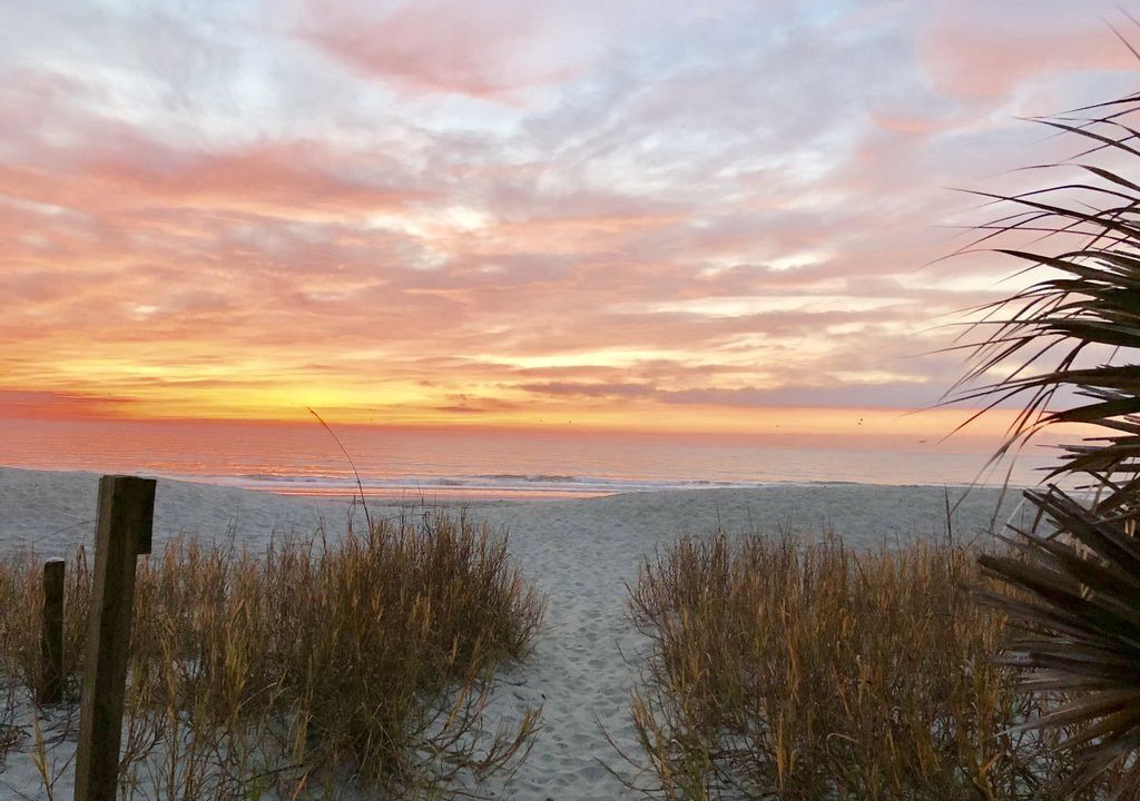 Photo of Others in Surfside Beach