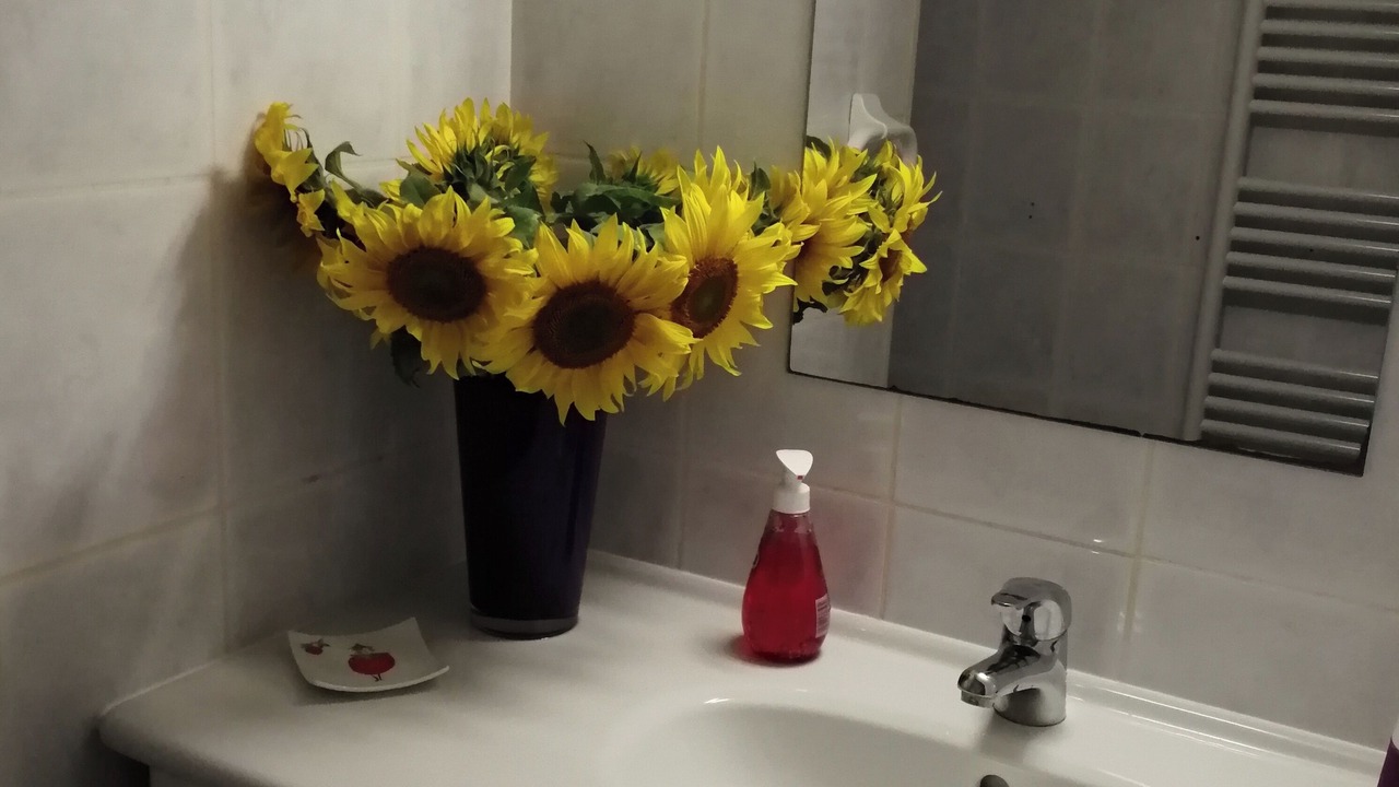 Photo of Bathroom in Puy-de-Serre