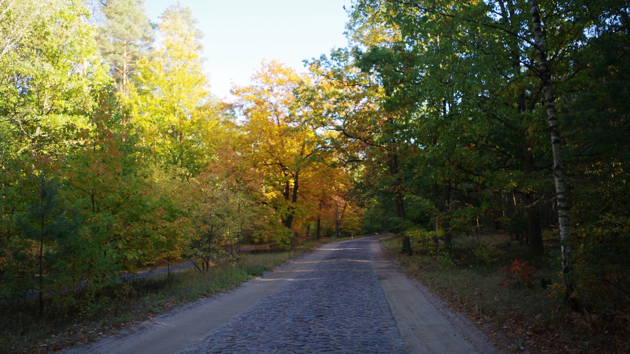 Photo of Outdoor in Temmen-Ringenwalde