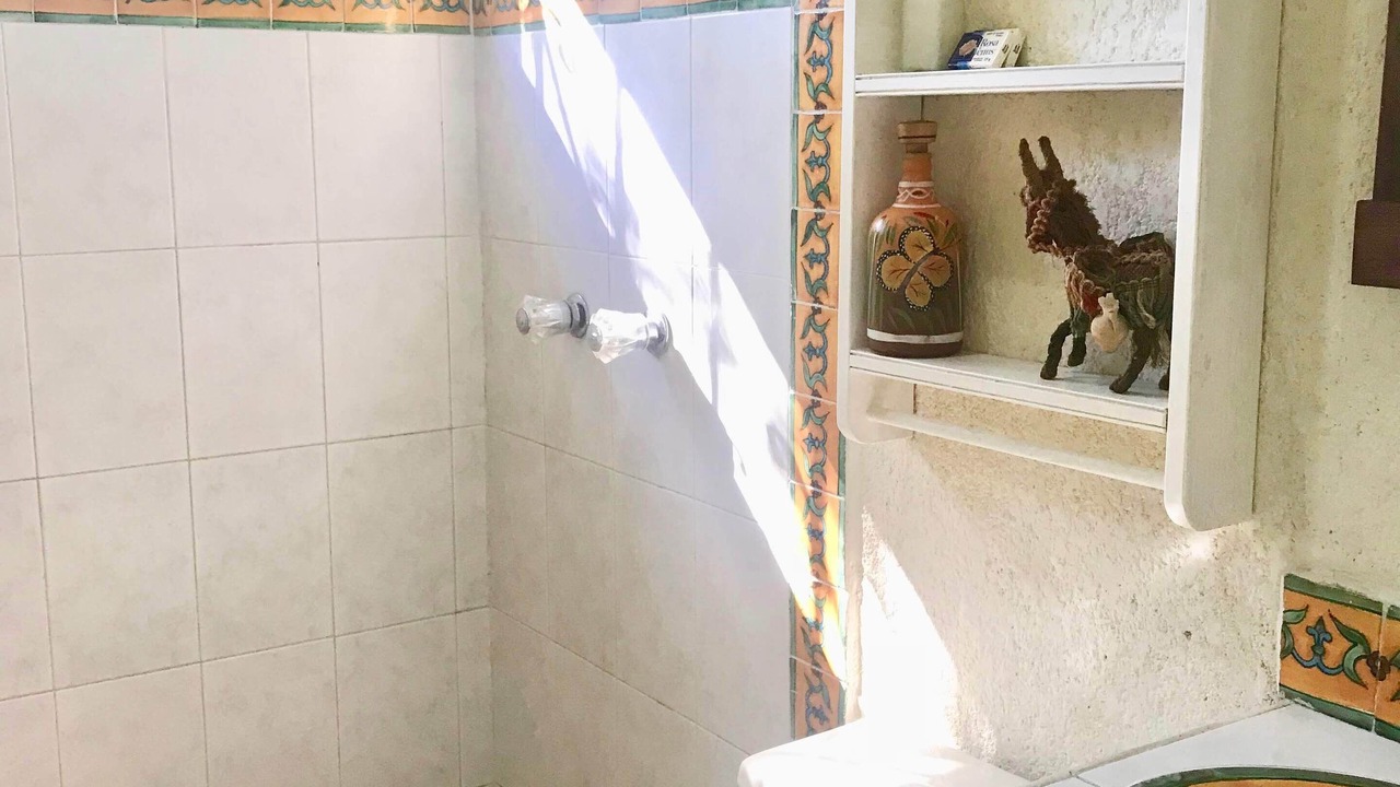 Photo of Bathroom in Ixtapa - Zihuatanejo