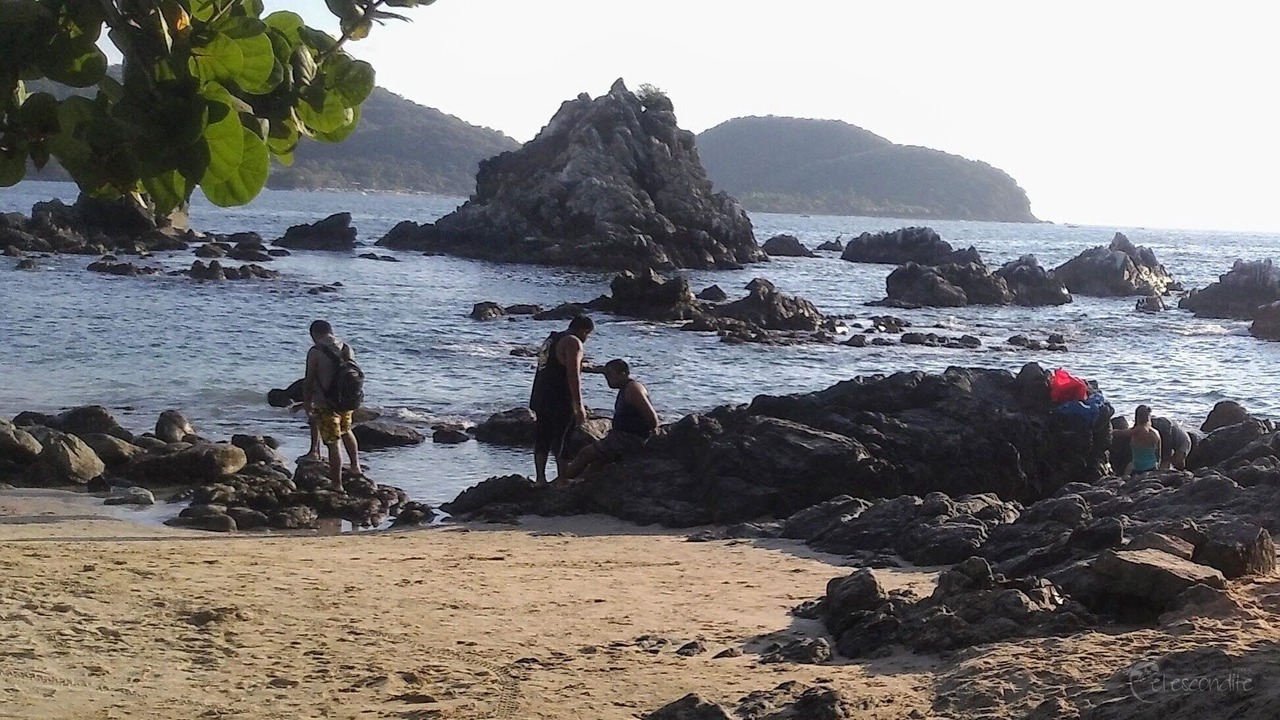 Photo of Others in Ixtapa - Zihuatanejo