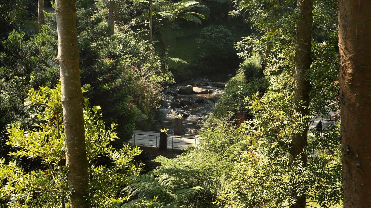 Photo of Outdoor in Ciloto