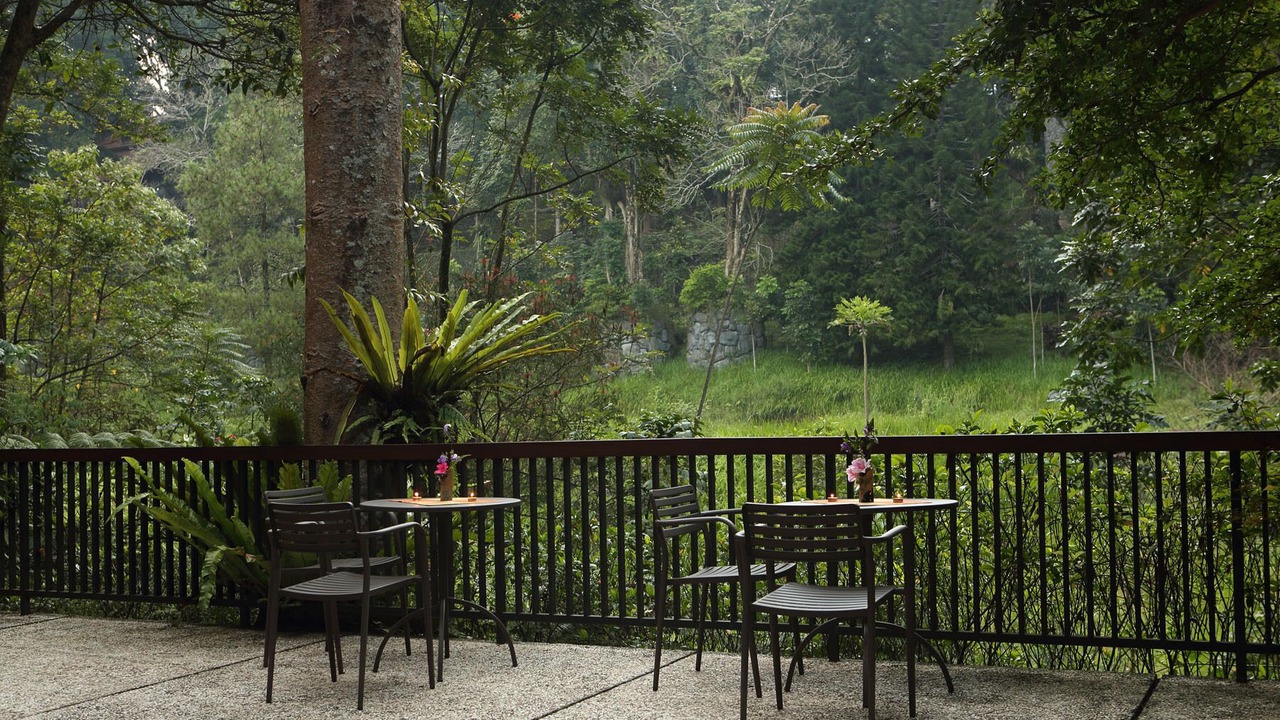 Photo of Outdoor in Ciloto
