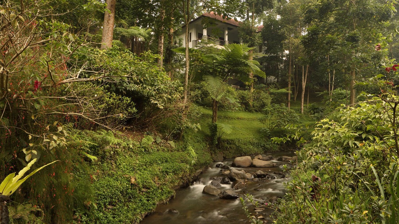 Photo of Outdoor in Ciloto