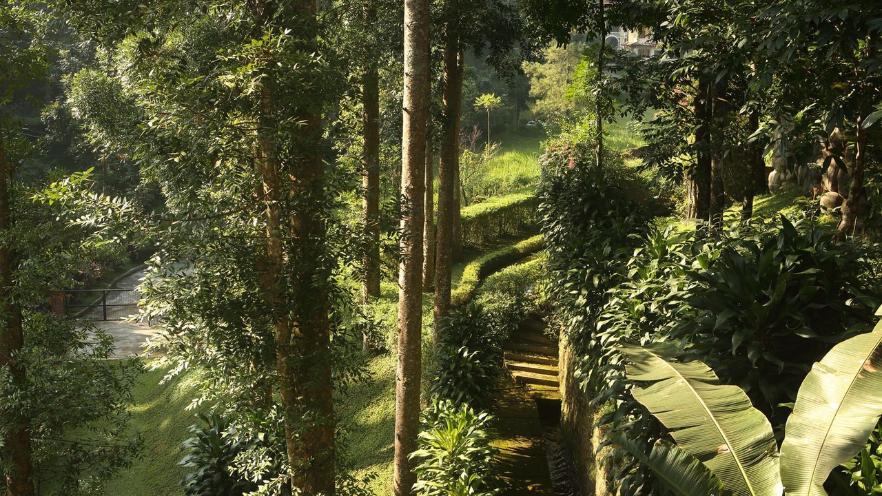 Photo of Outdoor in Ciloto