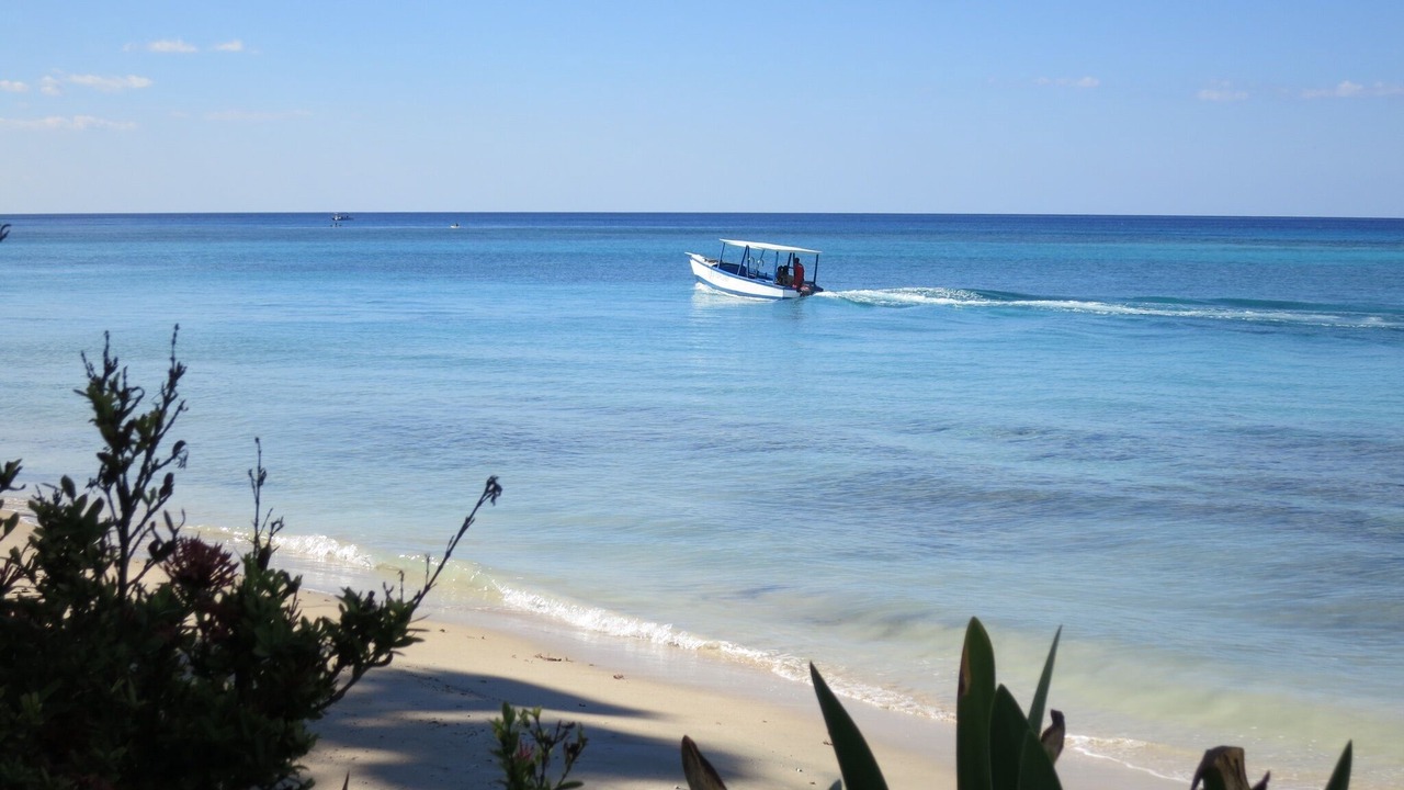 Photo of Others in Runaway Bay