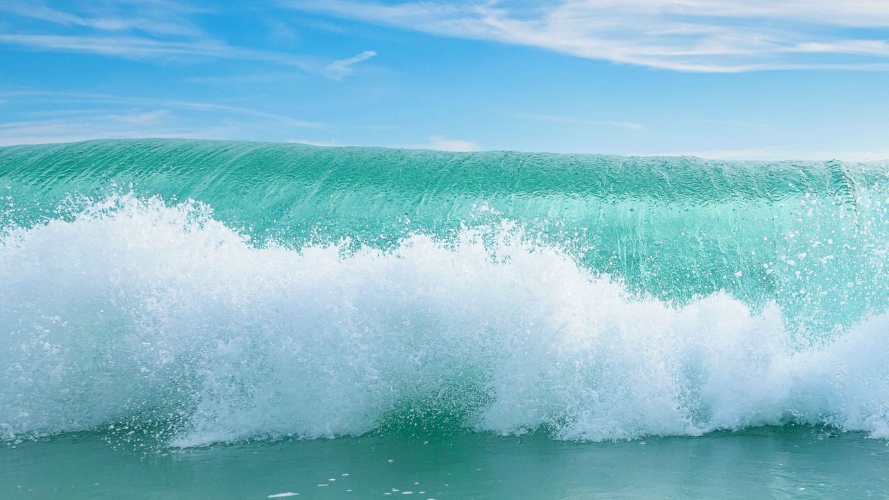 Photo of Others in Inlet Beach