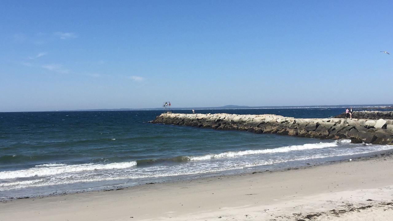 Photo of Others in Cape Porpoise