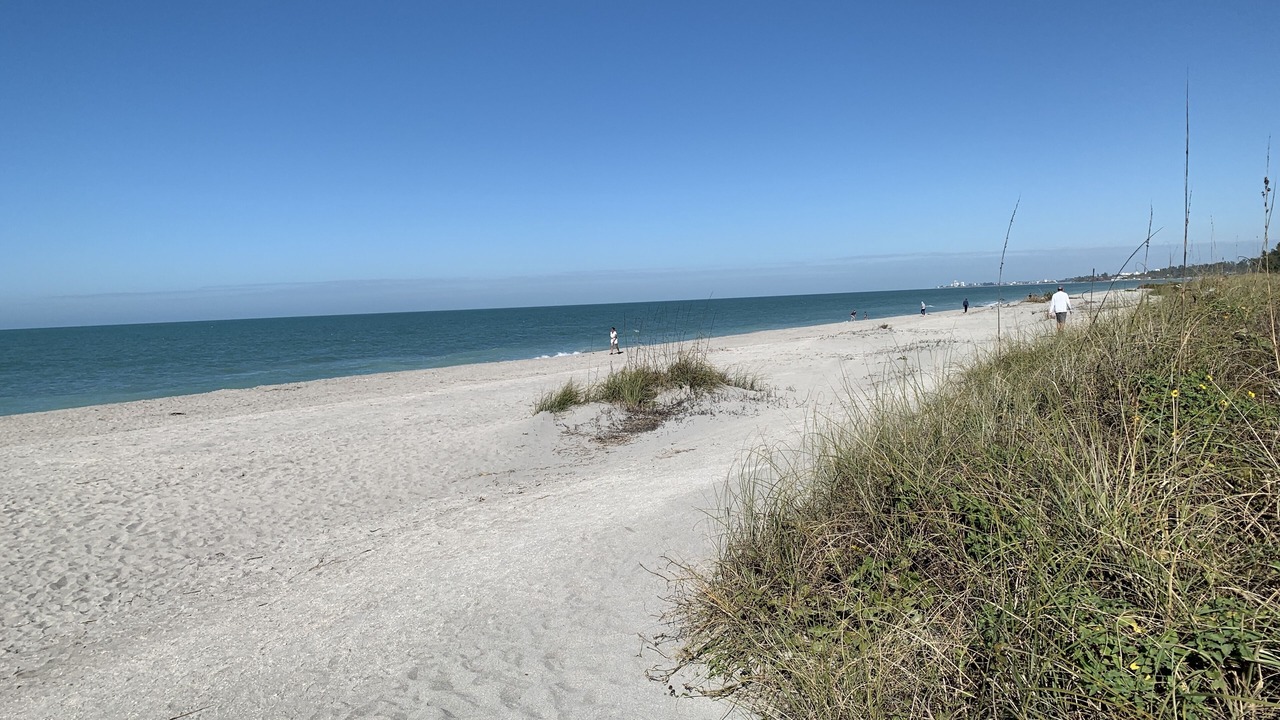 Photo of Others in Siesta Key