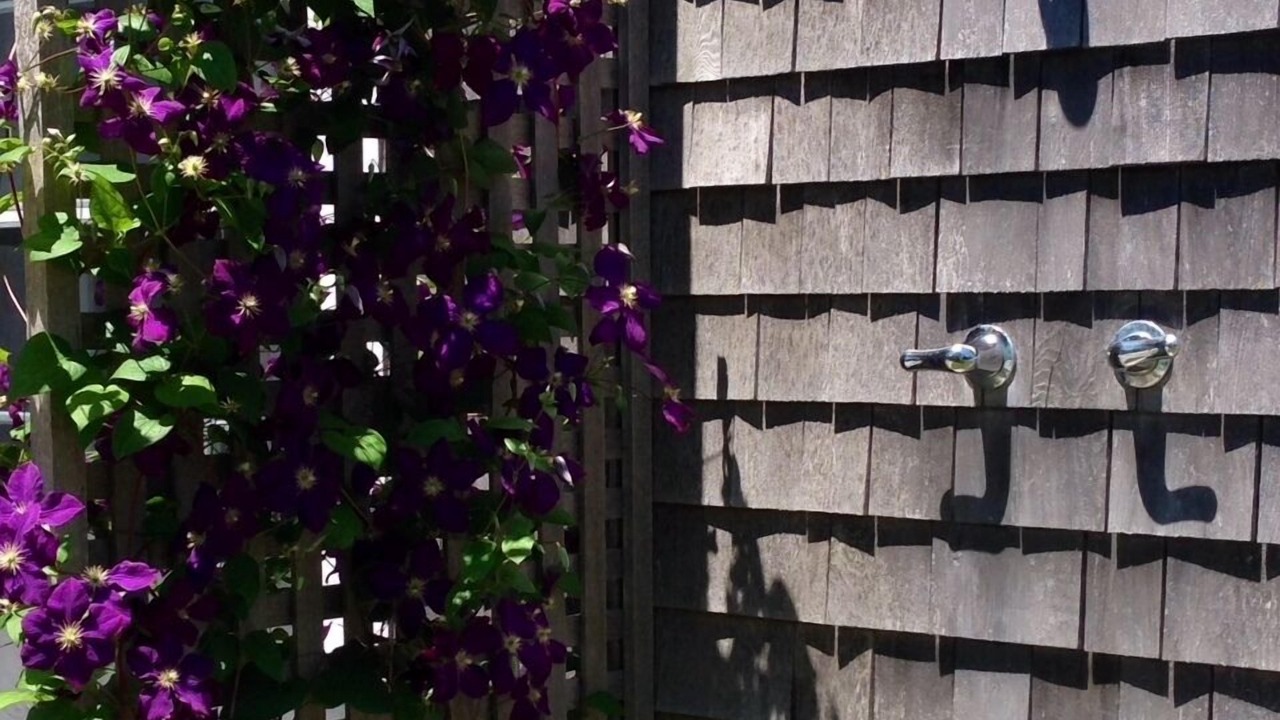 Photo of Outdoor in Bridgehampton
