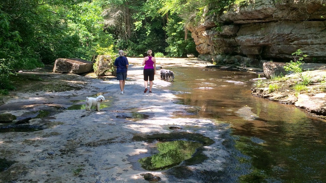 Photo of Others in Fayetteville