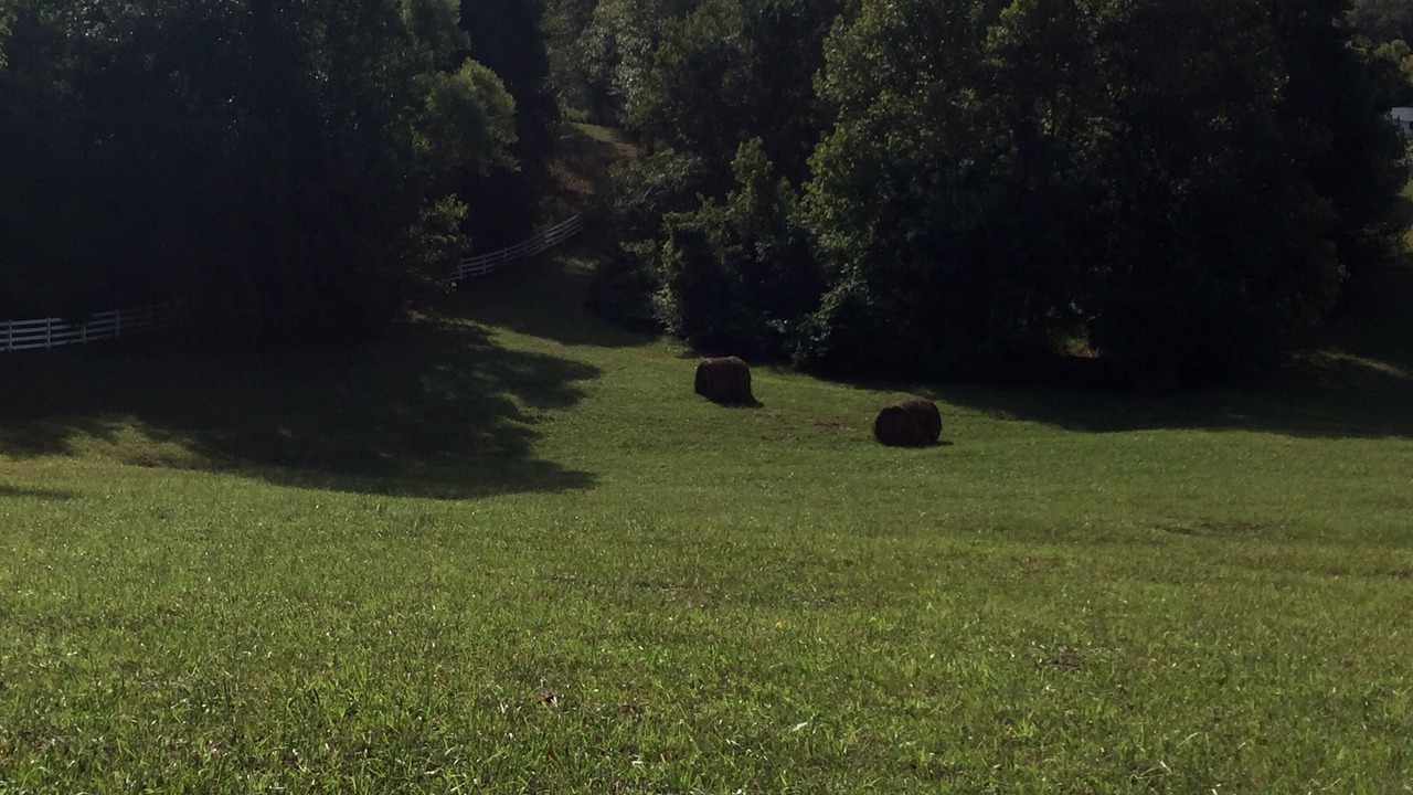 Photo of Others in Sparta
