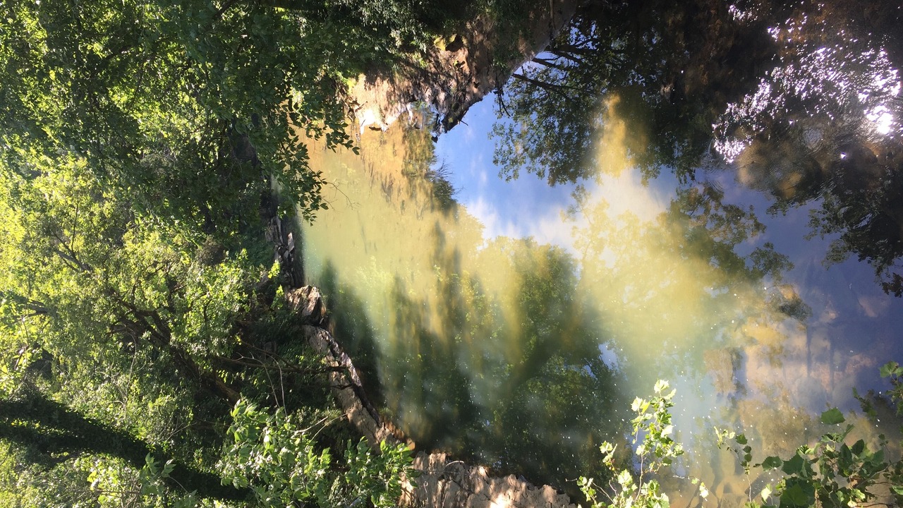 Photo of Outdoor in Sparta