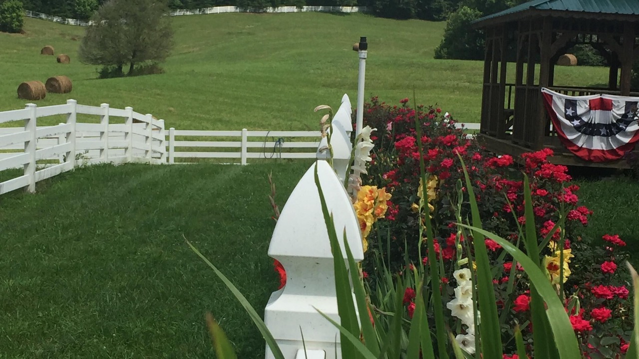 Photo of Outdoor in Sparta