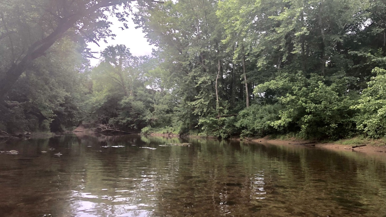 Photo of Outdoor in Sparta