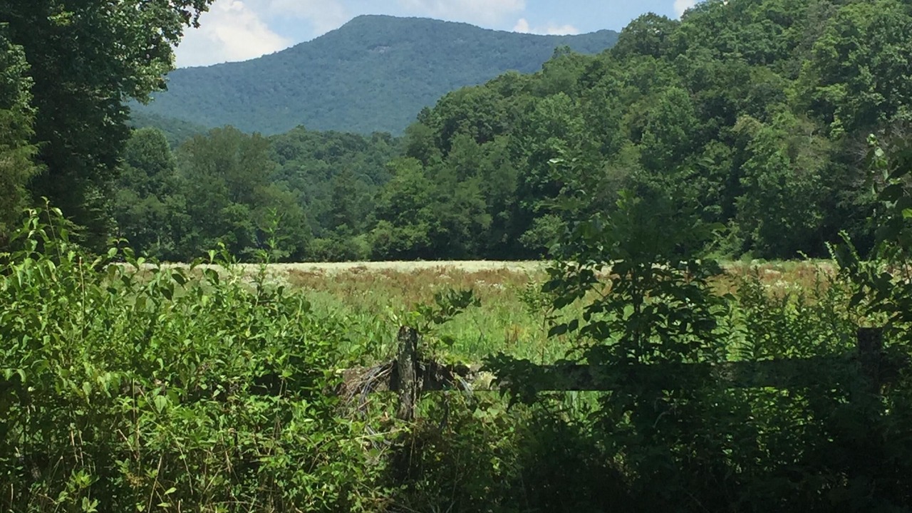 Photo of Outdoor in Sparta