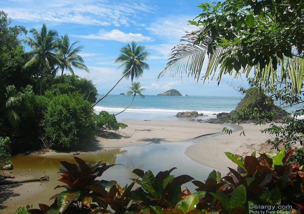 Photo of Others in Manuel Antonio