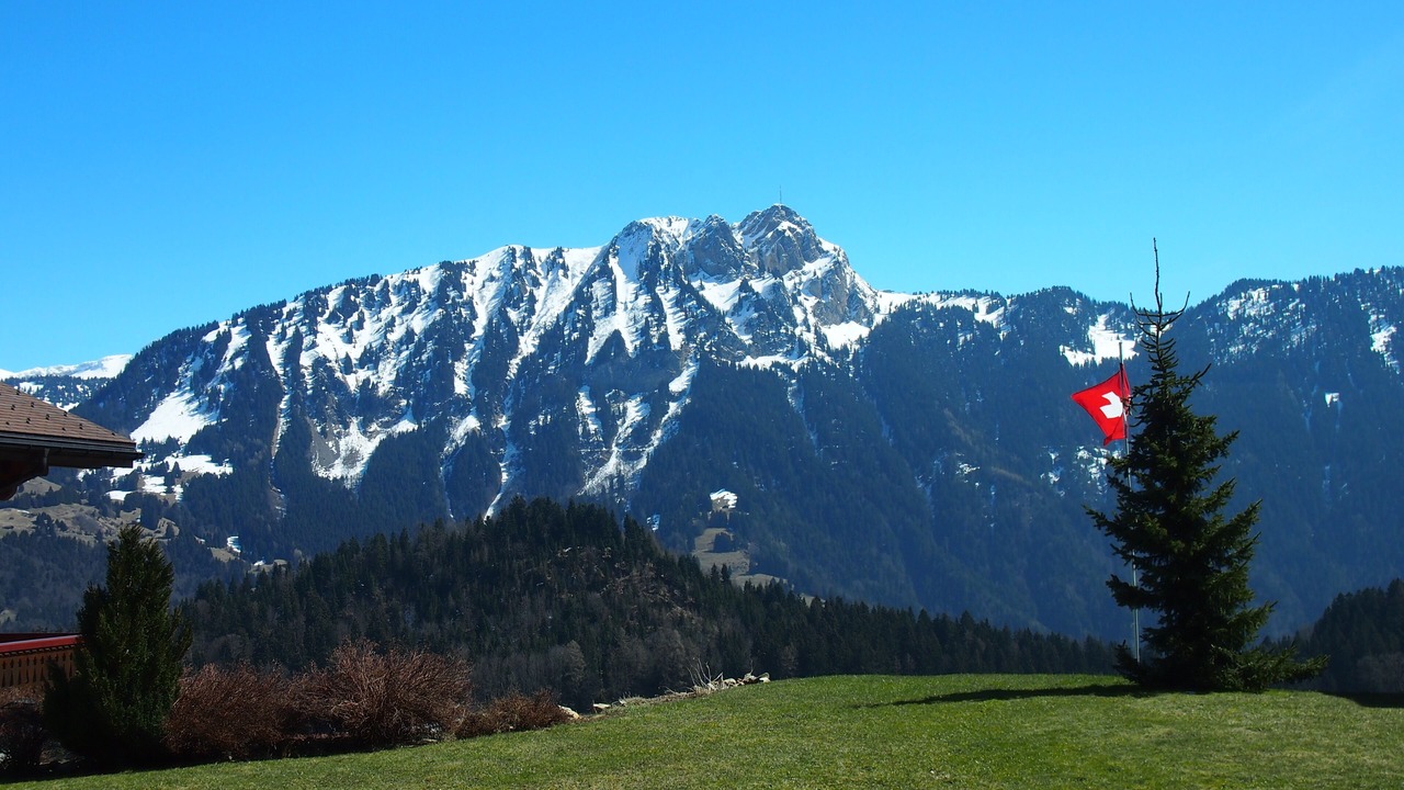 Photo of Others in Leysin