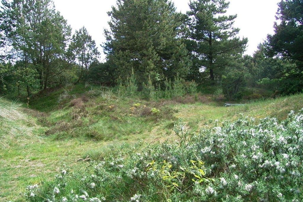Photo of Others in Øhuse