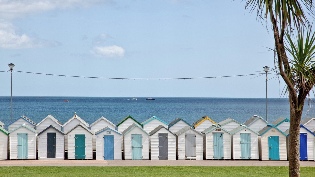 Photo of Others in Paignton