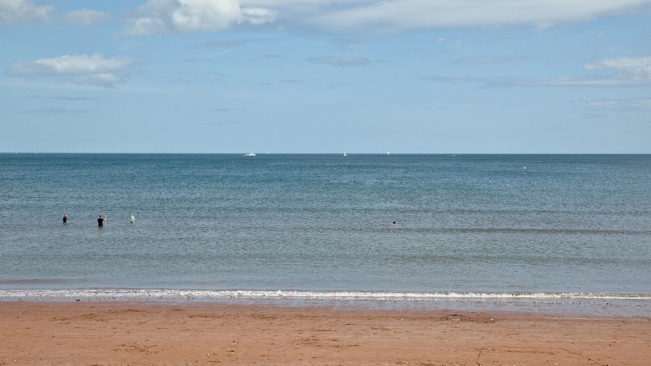 Photo of Others in Paignton