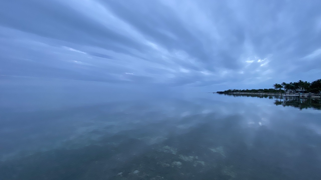 Photo of Others in Islamorada