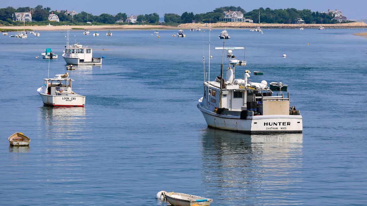 Photo of Outdoor in Vineyard Haven