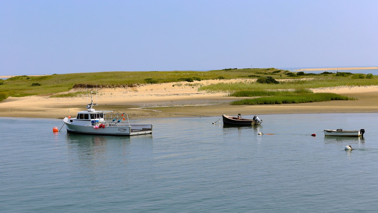 Photo of Others in Vineyard Haven
