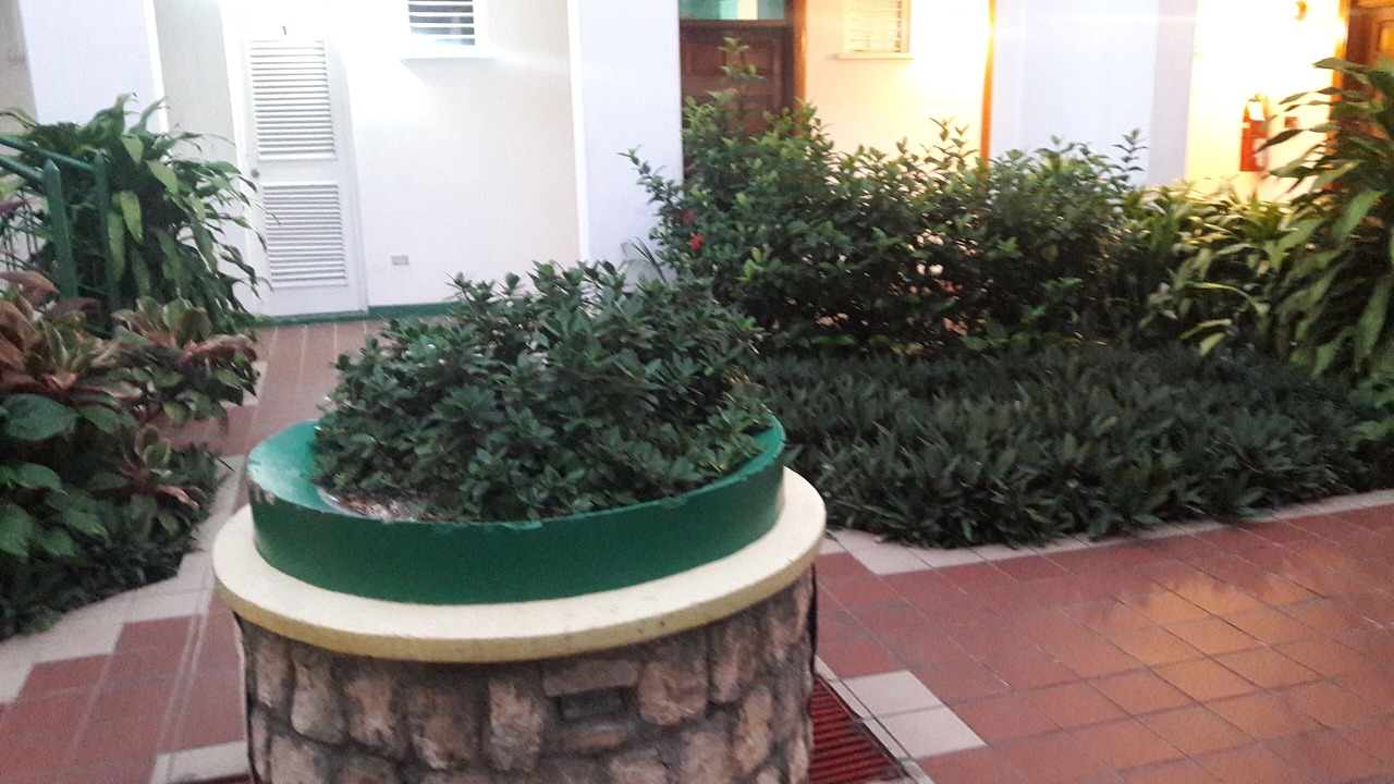 Photo of Outdoor in Ocho Rios