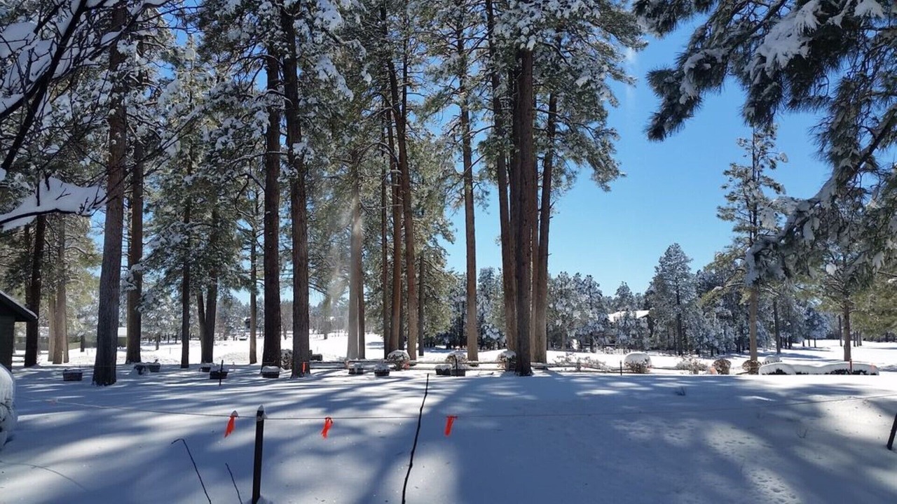 Photo of Outdoor in Pinetop