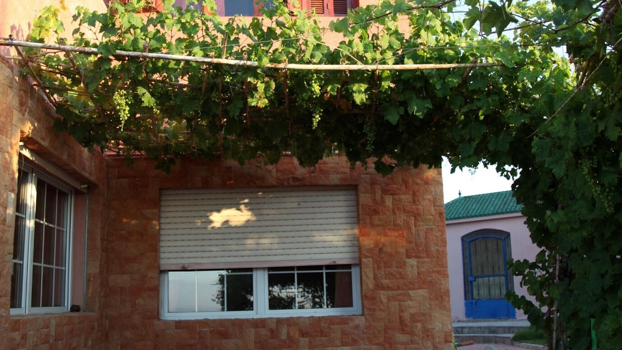 Photo of Outdoor in Ksar es Seghir