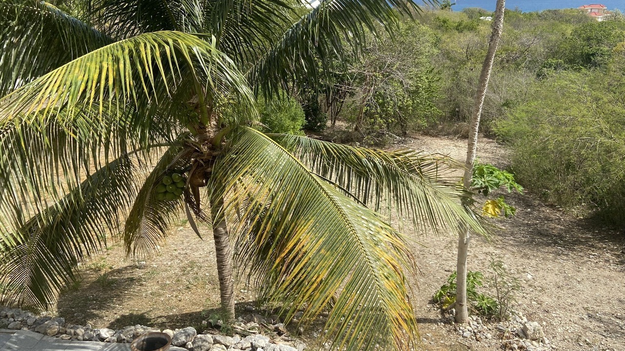 Photo of Outdoor in Dickenson Bay