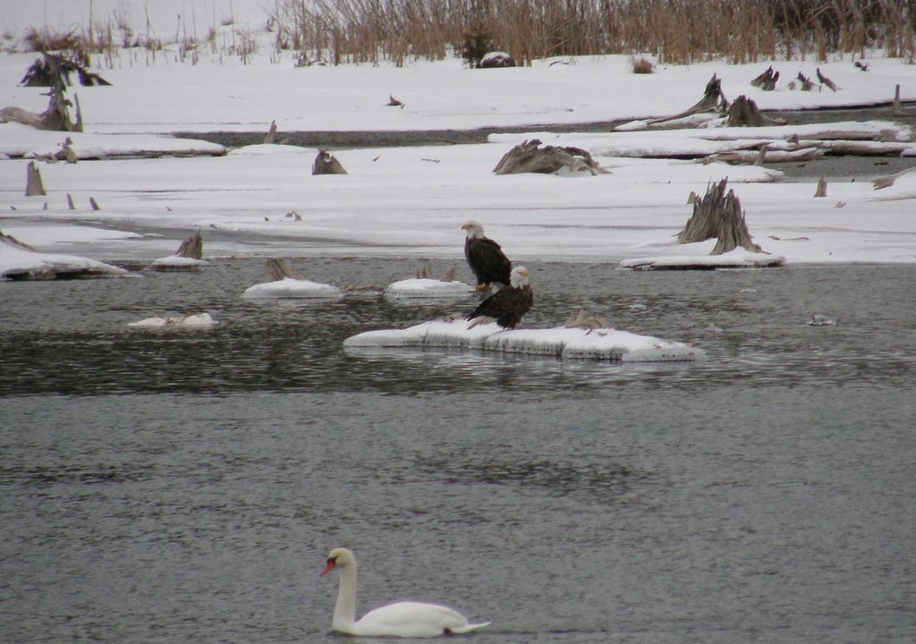 Photo of Others in Cheboygan