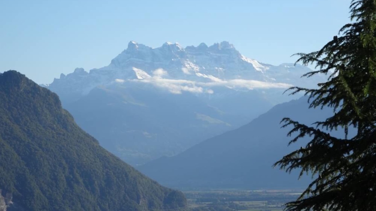 Photo of Others in Montreux
