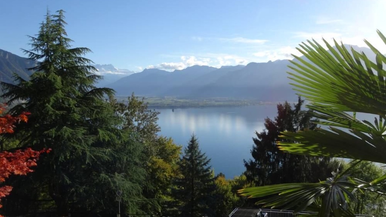 Photo of Outdoor in Montreux