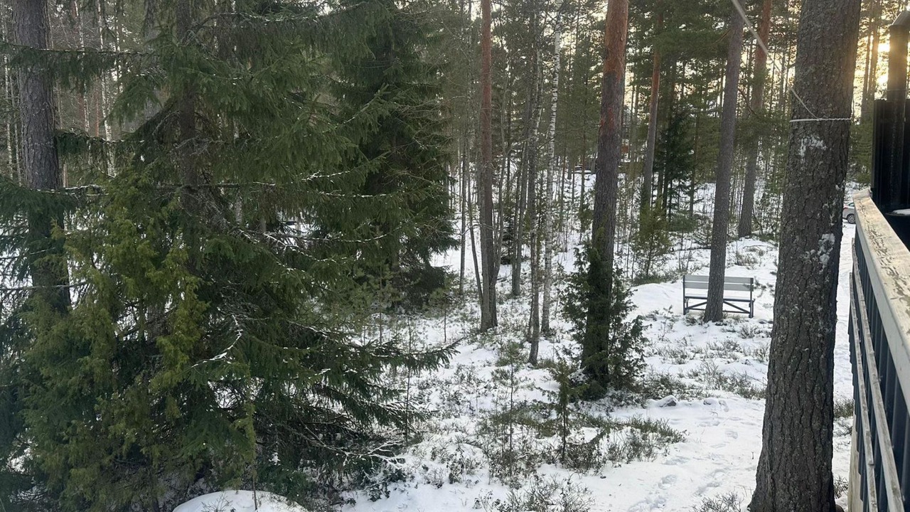 Photo of Others in Hillosensalmi