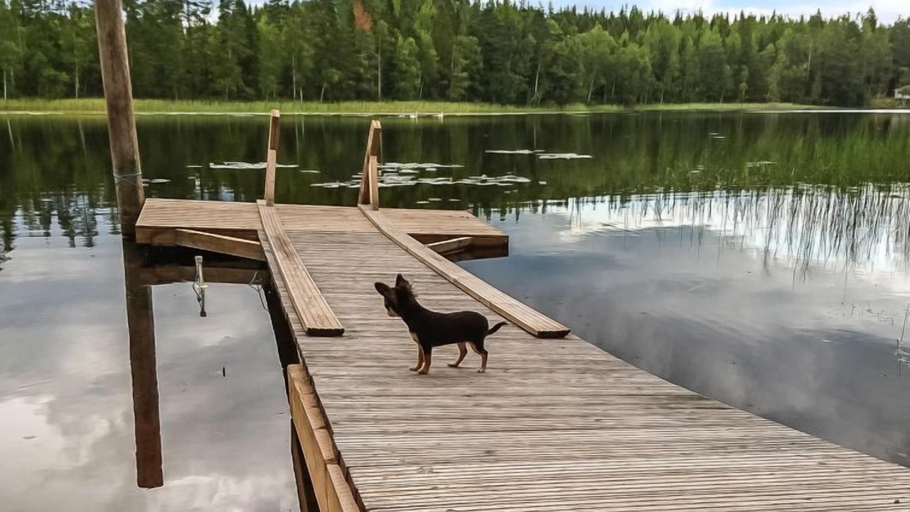 Photo of Others in Valkeala