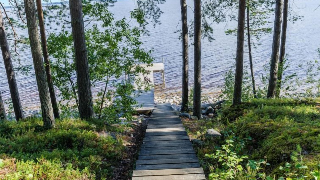 Photo of Outdoor in Koli National Park
