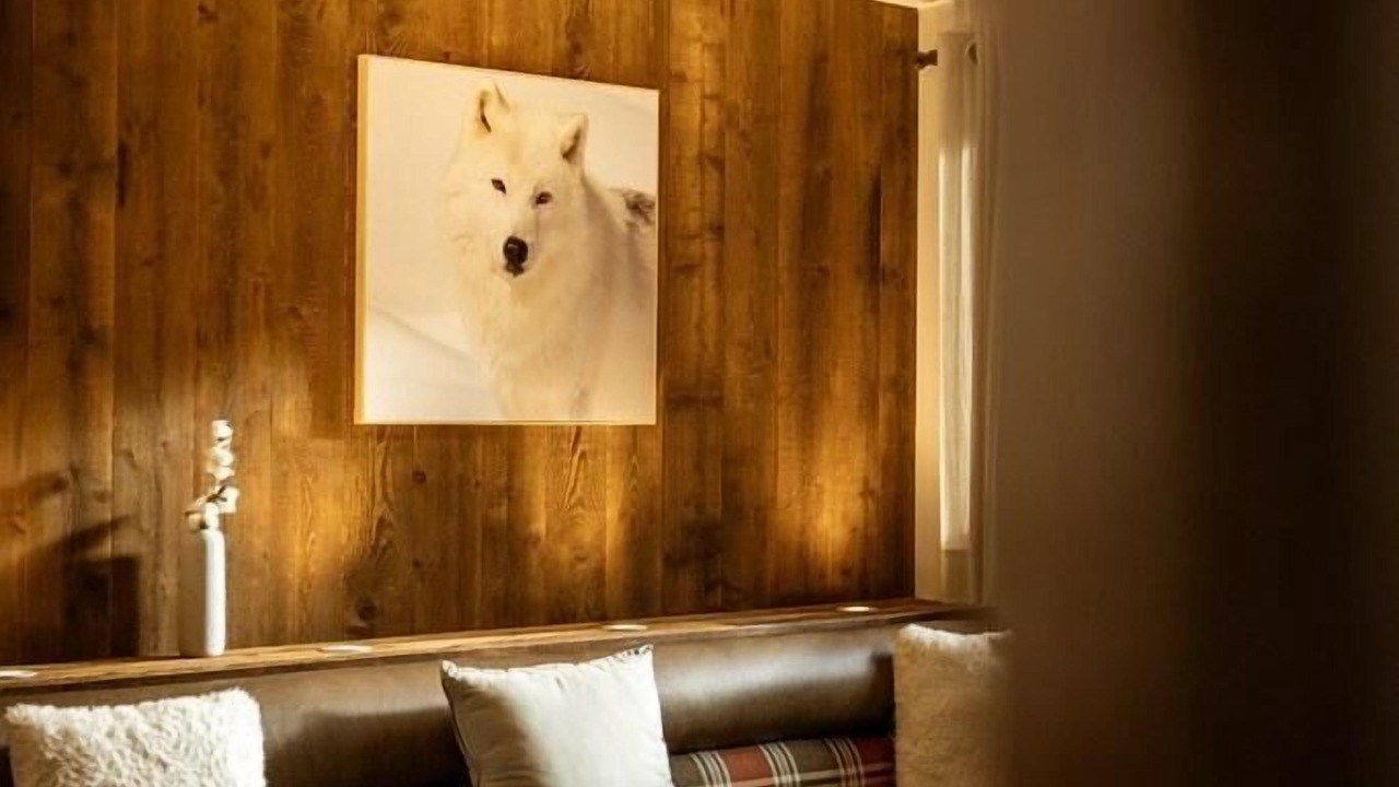 Photo of Livingroom in Valloire