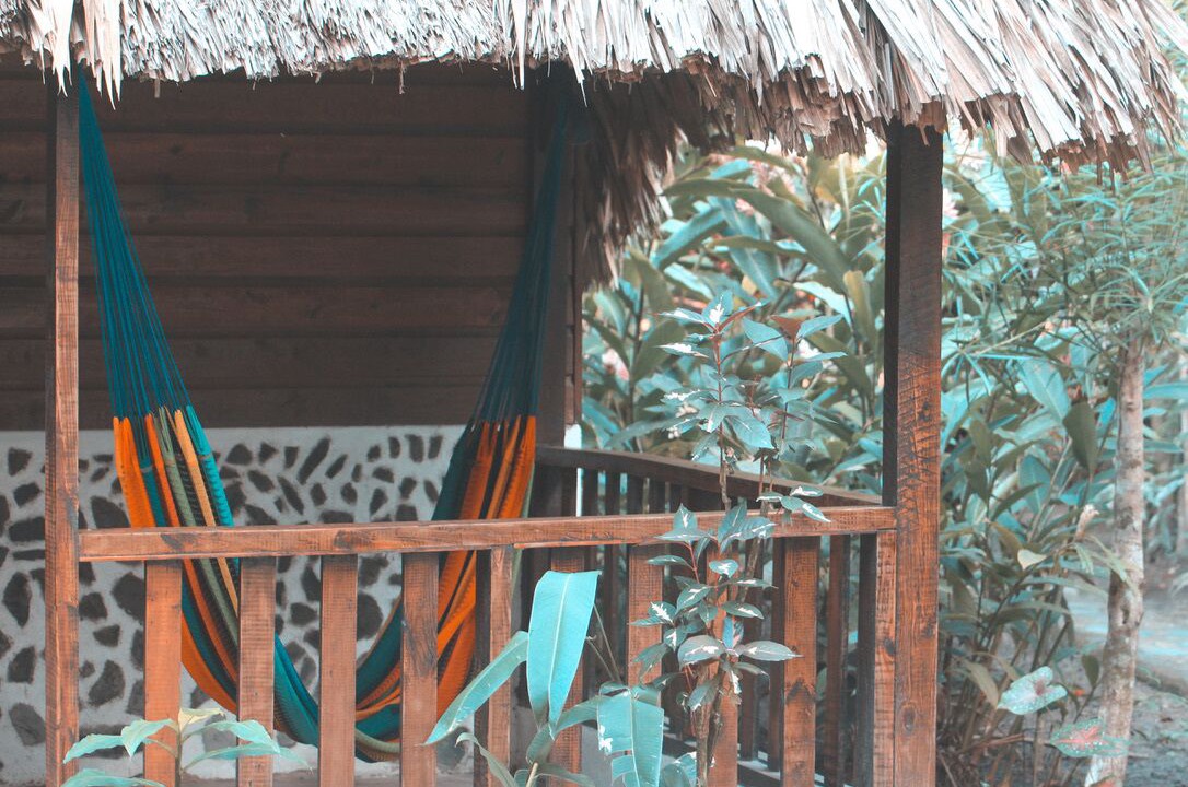 Photo of Outdoor in Bullet Tree Falls