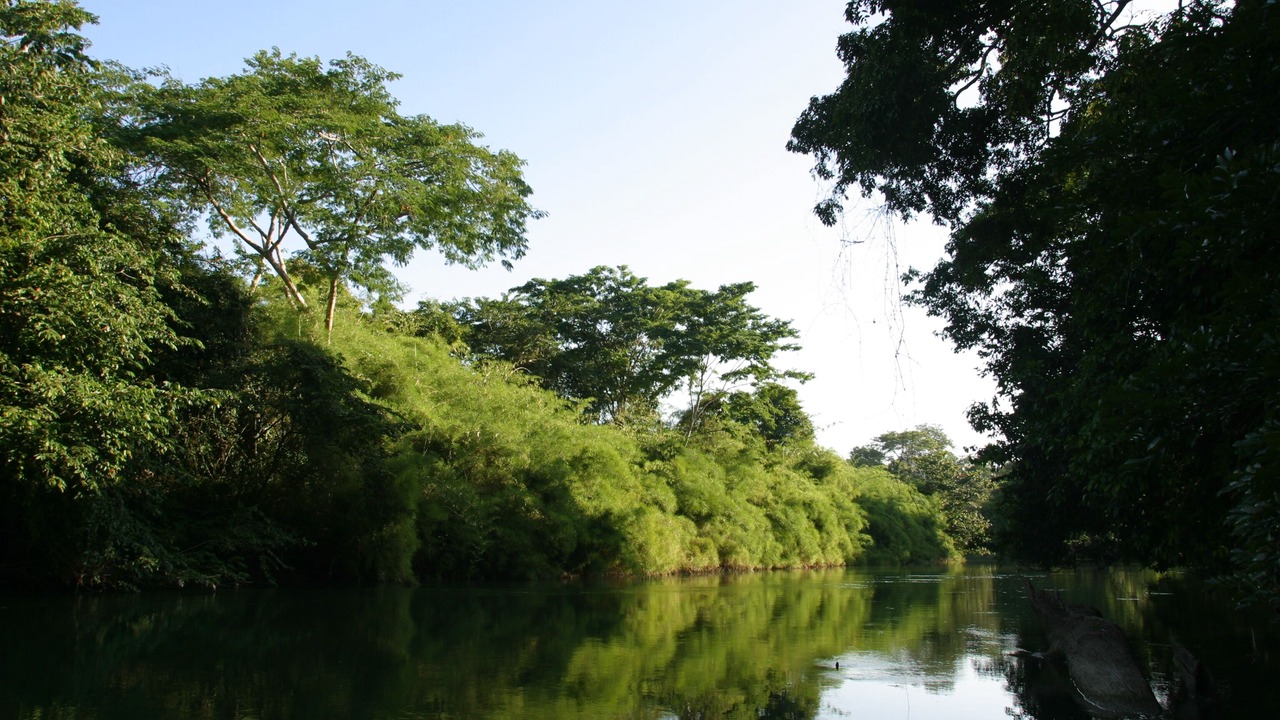 Photo of Outdoor in Bullet Tree Falls